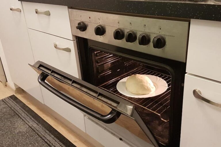Can You Put Ceramic Plates in the Oven
